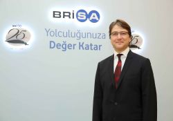BRISA'NIN 2013 CİROSU ARTTI