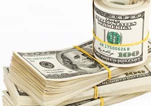 Merkez Bankası faiz kararı sonrası dolar 2,94'ü aştı