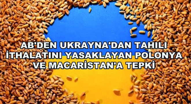 AB'den Ukrayna'dan Tahıl İthalatını Yasaklayan Polonya ve Macaristan'a Tepki