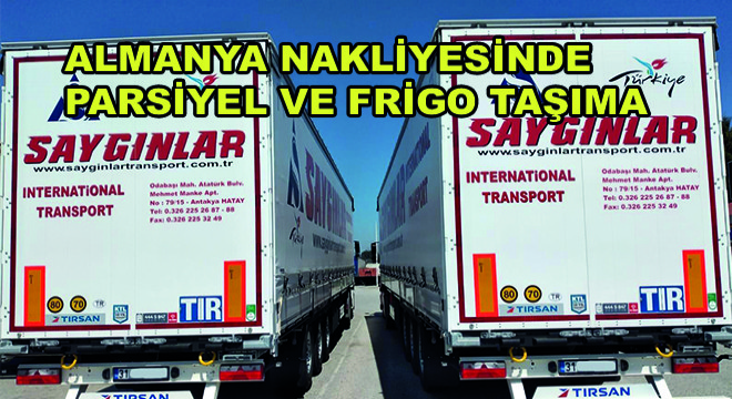Almanya Nakliyesinde Parsiyel ve Frigo Taşıma