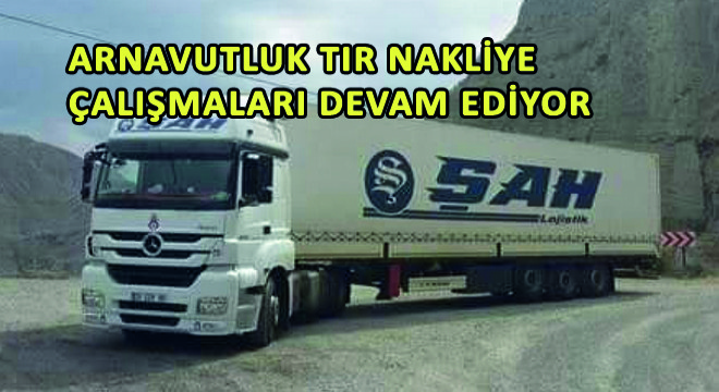 Arnavutluk Tır Nakliye Çalışmaları Devam Ediyor