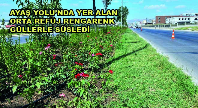 Ayaş Yolu'nda Yer Alan Orta Refüj Rengarenk Güllerle Süsledi