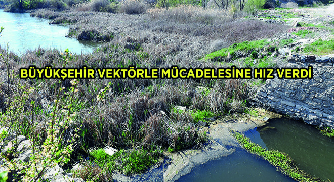 Büyükşehir Vektörle Mücadelesine Hız Verdi