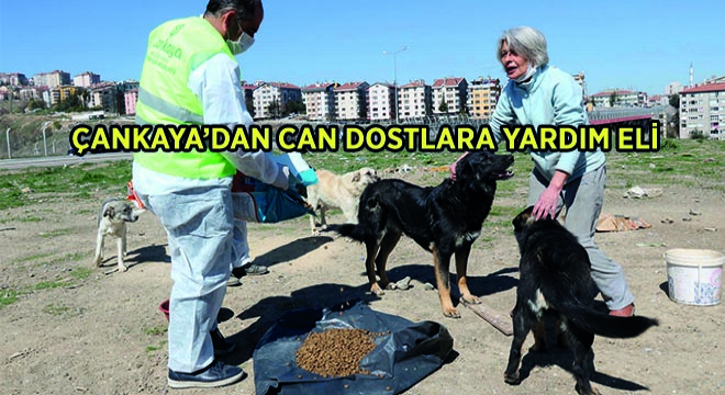 Çankaya’dan Can Dostlara Yardım Eli