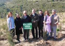 KITA'dan Dünya Yollarında Bin Km, Türkiye'de Bir Ağaç