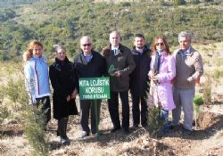 Dünya Yollarında Bin Km, Türkiye'de Bir Ağaç