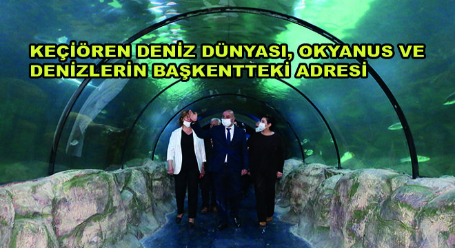 Keçiören Deniz Dünyası, Okyanus ve Denizlerin Başkentteki Adresi