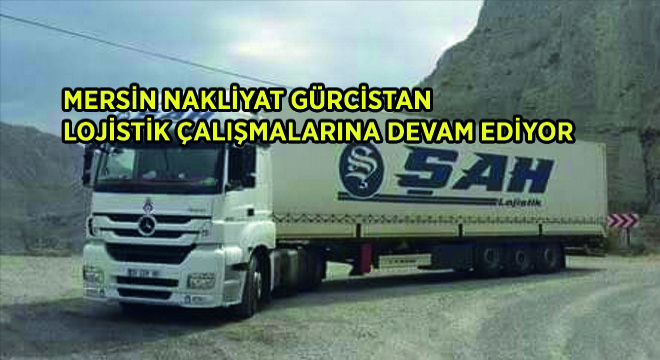 Mersin Nakliyat Gürcistan Lojistik Çalışmalarına Devam Ediyor