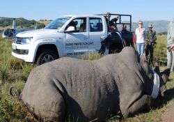 Goodyear Güney Afrika’daki Gergedanları Koruyor...