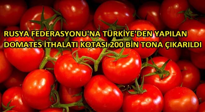 Rusya Federasyonu'na Türkiye'den Yapılan Domates İthalatı Kotası 200 Bin Tona Çıkarıldı