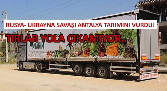 Rusya- Ukrayna Savaşı Antalya Tarımını Vurdu! Tırlar Yola Çıkamıyor..