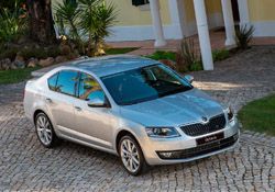 Skoda'dan 2014 Yılına Başarılı Başlangıç