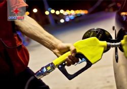 2012’nin son ayında Starpet’ten %14 indirim