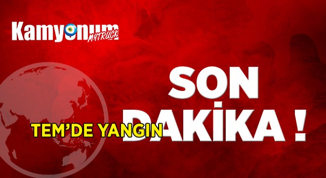 TEM'de Yangın