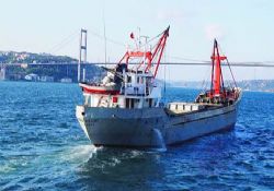 Koster armatörleri birleşiyor