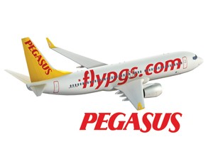 Pegasus  Rusya'nın Mineralnye Vody Şehrine Uçma Kararı Aldı