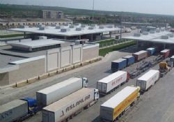 5 milyon çiçek ‘sınır’da kaldı
