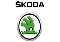 Skoda, yine Orta Avrupa'nın en büyüğü...