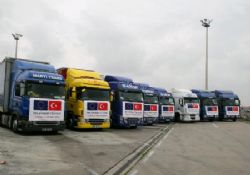 Nickelsdorf Sınır Eylemi ! 