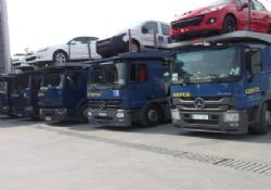 Gefco Mersin' de Büyüyor