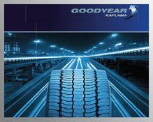 Goodyear Kamyon Lastikleri, Fuel Max Teknolojisi İle  Çevre Ödülü Aldı