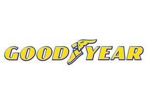 Goodyear, “Liderler İçin En Gözde Şirketler” Ödülünü Aldı