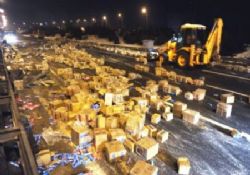 TEM yumurta ve bisküvi ile kaplandı