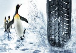 İsveç'te kış lastiği olmayana trafik yasak