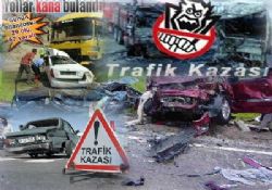 5 ayda 835 kişi öldü