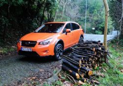 SUBARU Fırsatları Devam Ediyor