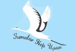 WWF-Türkiye ve Brisa turnaları koruyacak