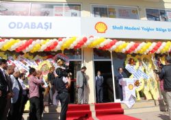 Shell Büyümeye Devam Ediyor 